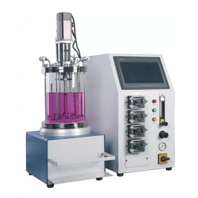 Microbiology mycelium fermenter bioreactor