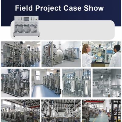 Customizable fermentor bioreactor Industrial 100l 300l 500l 1000l