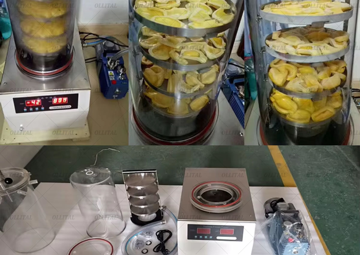 Industrial Freeze Dryer: Transforming Large-Scale Preservation in Pharmaceuticals, Food & Biotech